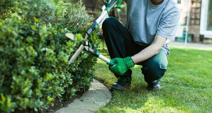 Foto de Luan jardinagem